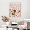 Picture of Macro Dried Florals _GroupedProduct_Rectangle_Portrait_Photography _GroupedProduct_Rectangle_Portrait_Unframed_Print_Only_