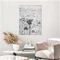 Picture of Macro Dried Florals _GroupedProduct_Rectangle_Portrait_Photography _GroupedProduct_Rectangle_Portrait_Unframed_Print_Only_