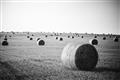 Picture of Hay Bails _GroupedProduct_Rectangle_Landscape_Photography _GroupedProduct_Rectangle_Landscape_Unframed_Print_Only_