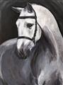 Picture of Soft Horse _GroupedProduct_Rectangle_Portrait_Unframed_Print_Only_