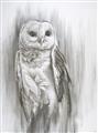 Picture of Living Owl _GroupedProduct_Rectangle_Portrait_Unframed_Print_Only_