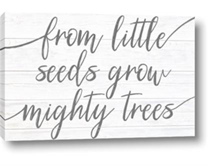 Picture of From little seeds