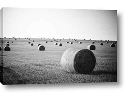 Picture of Hay Bails