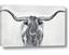 Picture of Painted Longhorn Bull