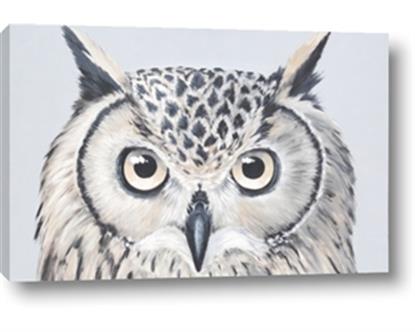 Picture of Close-up The Owl Head