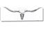 Picture of Stretched Skull