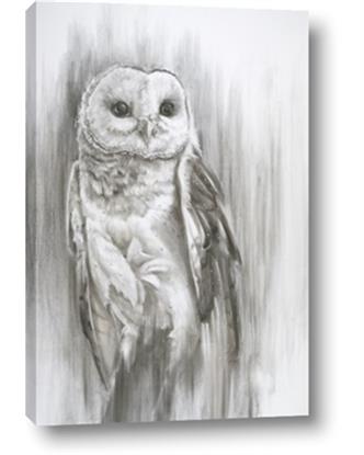 Picture of Living Owl