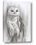 Picture of Living Owl