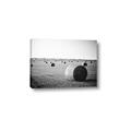 Picture of Hay Bails _GroupedProduct_Rectangle_Landscape_Photography _GroupedProduct_Rectangle_Landscape_Canvas_
