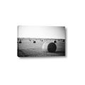 Picture of Hay Bails _GroupedProduct_Rectangle_Landscape_Photography _GroupedProduct_Rectangle_Landscape_Canvas_