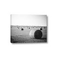Picture of Hay Bails _GroupedProduct_Rectangle_Landscape_Photography _GroupedProduct_Rectangle_Landscape_Canvas_