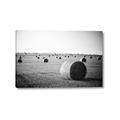 Picture of Hay Bails _GroupedProduct_Rectangle_Landscape_Photography _GroupedProduct_Rectangle_Landscape_Canvas_