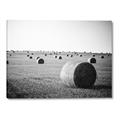 Picture of Hay Bails _GroupedProduct_Rectangle_Landscape_Photography _GroupedProduct_Rectangle_Landscape_Canvas_