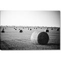 Picture of Hay Bails _GroupedProduct_Rectangle_Landscape_Photography _GroupedProduct_Rectangle_Landscape_Canvas_