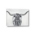 Picture of Painted Longhorn Bull _GroupedProduct_Rectangle_Landscape_Canvas_