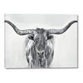Picture of Painted Longhorn Bull _GroupedProduct_Rectangle_Landscape_Canvas_
