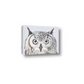 Picture of Close-up The Owl Head _GroupedProduct_Rectangle_Landscape_Canvas_