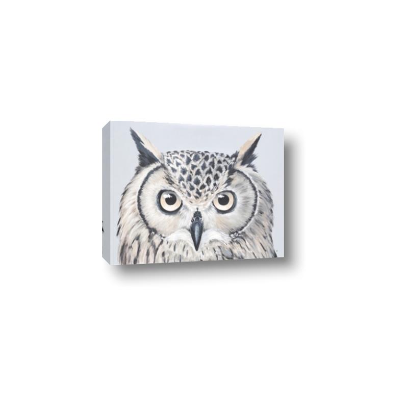 Picture of Close-up The Owl Head _GroupedProduct_Rectangle_Landscape_Canvas_
