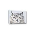 Picture of Close-up The Owl Head _GroupedProduct_Rectangle_Landscape_Canvas_