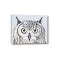 Picture of Close-up The Owl Head _GroupedProduct_Rectangle_Landscape_Canvas_