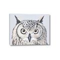 Picture of Close-up The Owl Head _GroupedProduct_Rectangle_Landscape_Canvas_