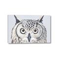 Picture of Close-up The Owl Head _GroupedProduct_Rectangle_Landscape_Canvas_