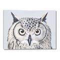 Picture of Close-up The Owl Head _GroupedProduct_Rectangle_Landscape_Canvas_