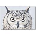 Picture of Close-up The Owl Head _GroupedProduct_Rectangle_Landscape_Canvas_