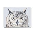 Picture of Close-up The Owl Head _GroupedProduct_Rectangle_Landscape_Canvas_
