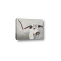 Picture of Cow with Big Horn _GroupedProduct_Rectangle_Landscape_Canvas_