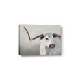 Picture of Cow with Big Horn _GroupedProduct_Rectangle_Landscape_Canvas_