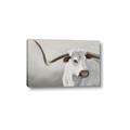 Picture of Cow with Big Horn _GroupedProduct_Rectangle_Landscape_Canvas_