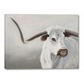 Picture of Cow with Big Horn _GroupedProduct_Rectangle_Landscape_Canvas_