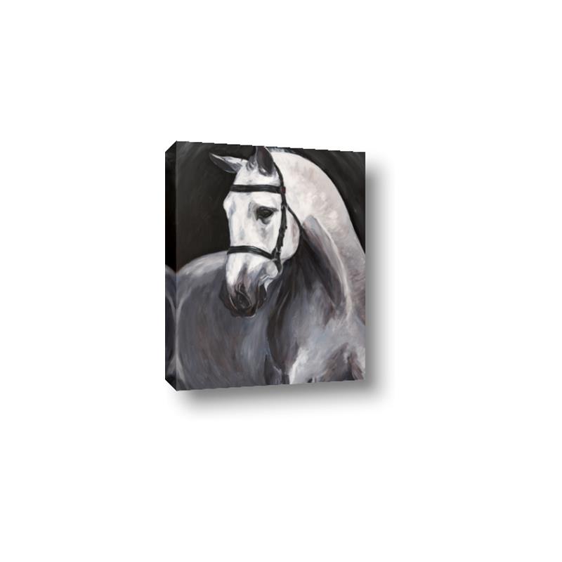 Picture of Soft Horse _GroupedProduct_Rectangle_Portrait_Canvas_