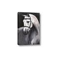 Picture of Soft Horse _GroupedProduct_Rectangle_Portrait_Canvas_