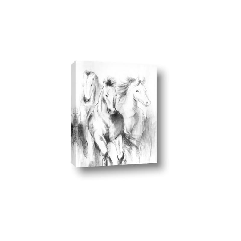 Picture of Wild Trio _GroupedProduct_Rectangle_Portrait_Canvas_