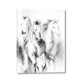 Picture of Wild Trio _GroupedProduct_Rectangle_Portrait_Canvas_
