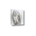Picture of Living Owl _GroupedProduct_Rectangle_Portrait_Canvas_