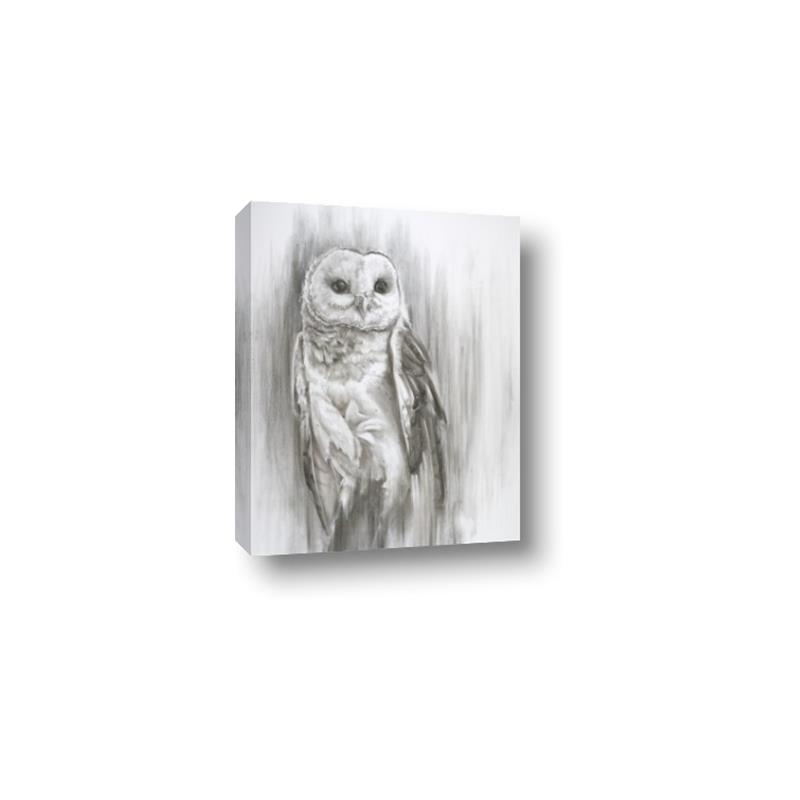 Picture of Living Owl _GroupedProduct_Rectangle_Portrait_Canvas_