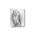 Picture of Living Owl _GroupedProduct_Rectangle_Portrait_Canvas_