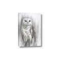 Picture of Living Owl _GroupedProduct_Rectangle_Portrait_Canvas_
