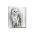 Picture of Living Owl _GroupedProduct_Rectangle_Portrait_Canvas_