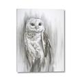 Picture of Living Owl _GroupedProduct_Rectangle_Portrait_Canvas_