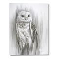 Picture of Living Owl _GroupedProduct_Rectangle_Portrait_Canvas_