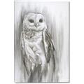 Picture of Living Owl _GroupedProduct_Rectangle_Portrait_Canvas_
