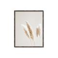 Picture of White Cluster petaled flower _GroupedProduct_Rectangle_Portrait_Photography _GroupedProduct_Rectangle_Portrait_Canvas_Framed_