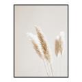 Picture of White Cluster petaled flower _GroupedProduct_Rectangle_Portrait_Photography _GroupedProduct_Rectangle_Portrait_Canvas_Framed_
