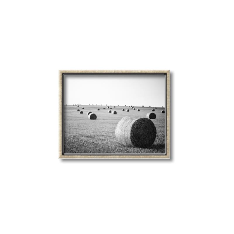 Picture of Hay Bails _GroupedProduct_Rectangle_Landscape_Photography _GroupedProduct_Rectangle_Landscape_Canvas_Framed_