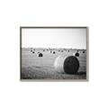 Picture of Hay Bails _GroupedProduct_Rectangle_Landscape_Photography _GroupedProduct_Rectangle_Landscape_Canvas_Framed_