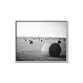 Picture of Hay Bails _GroupedProduct_Rectangle_Landscape_Photography _GroupedProduct_Rectangle_Landscape_Canvas_Framed_